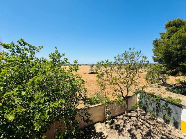 Masía en venta en Baleares Palma de Mallorca, Es Coll d´En Rabassa. FINCA RÚSTICA EN VENTA EN LLUCMAJOR INTERIOR. Masías Palma de.