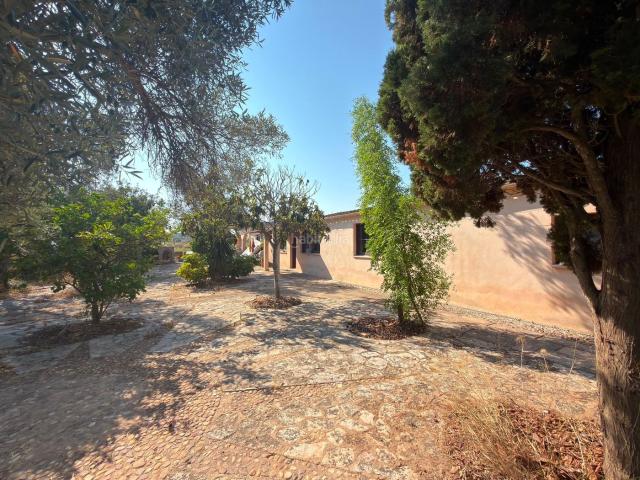 Masía en venta en Baleares Palma de Mallorca, S´Aranjassa. Finca histórica con molino y un gran potencial de desarrollo. Masías Palma de.