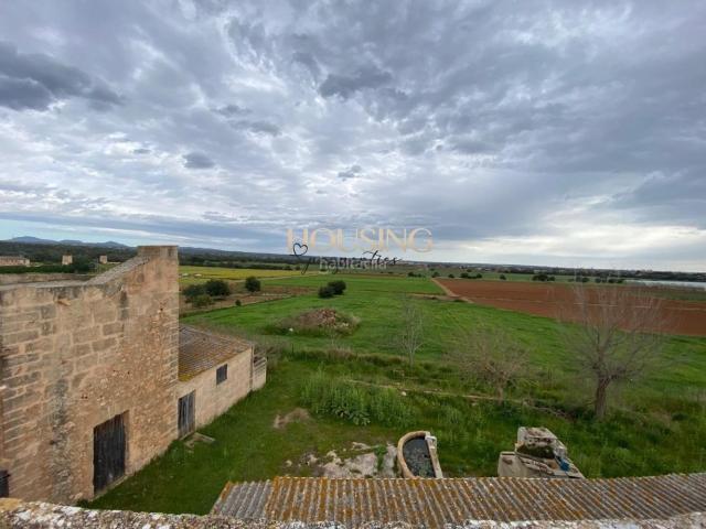 Masía en venta en Baleares Palma de Mallorca, Son Ferriol. AMPLIA FINCA RUSTICA EN ZONA SA CASA BLANCA. Masías Palma de.
