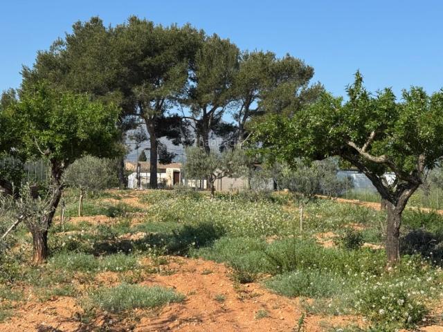 Masía en venta en Benissa, Benissa Pueblo. Masías.