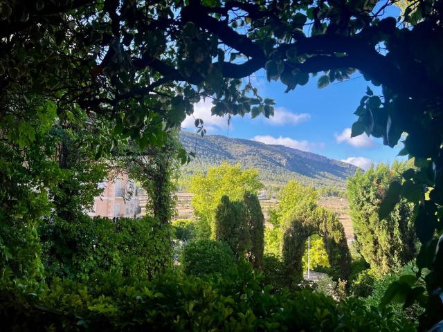 Masía en venta en Biar. Se vende casa señorial con Piscina y jardín en Biar!. Masías.