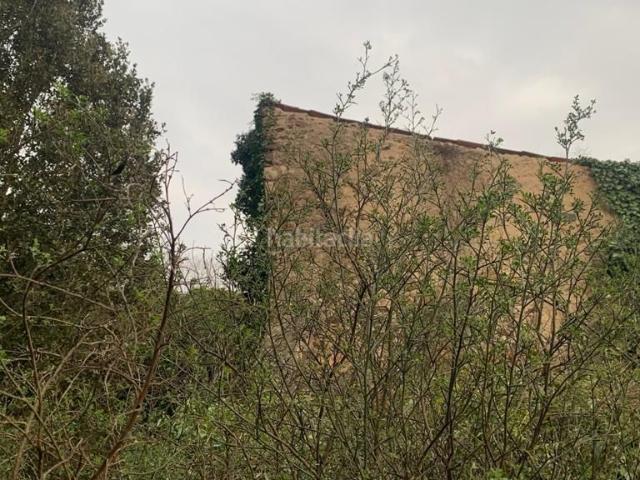 Masía en venta en Breda. FINCA RUSTICA CON POZO DE AGUA EN VENTA A 1 MIN DEL PUEBLO DE BREDA. Masías.