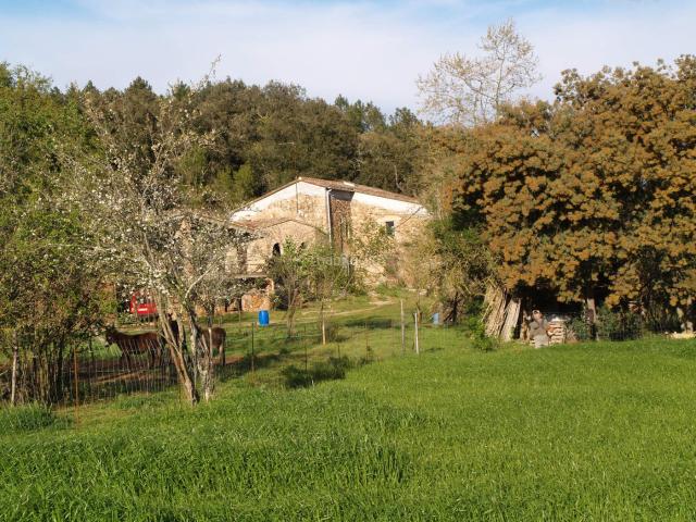 Masía en venta en Brunyola i Sant Martí Sapresa. Masia en Brunyola. Masías Brunyola i Sant Martí.