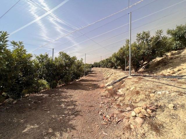 Masía en venta en Callosa d´en Sarrià. Masías Callosa d´en.