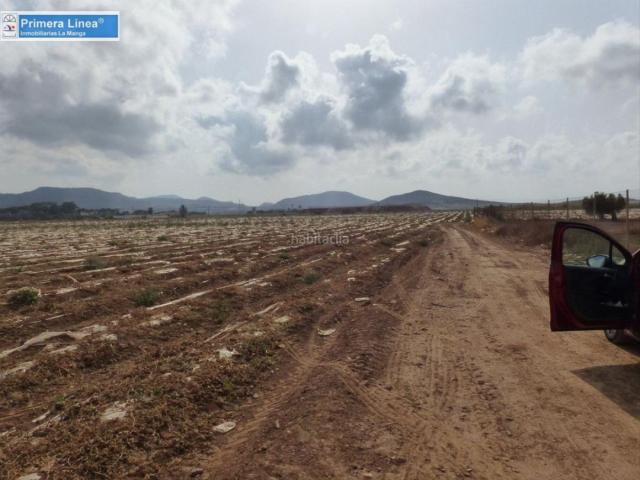 Masía en venta en Cartagena, Los Nietos. Venta de finca agrícola en Los Belones. Masías.
