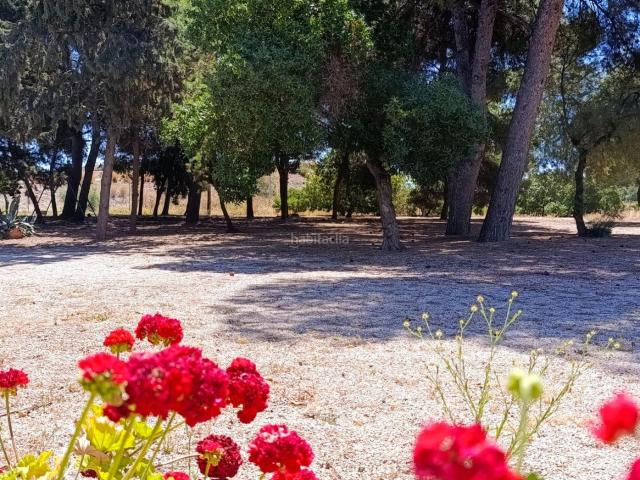 Masía en venta en Cartagena, Los Urrutias. Finca Rustica Espacio, Exclusividad y Alta Rentabilidad. Masías.
