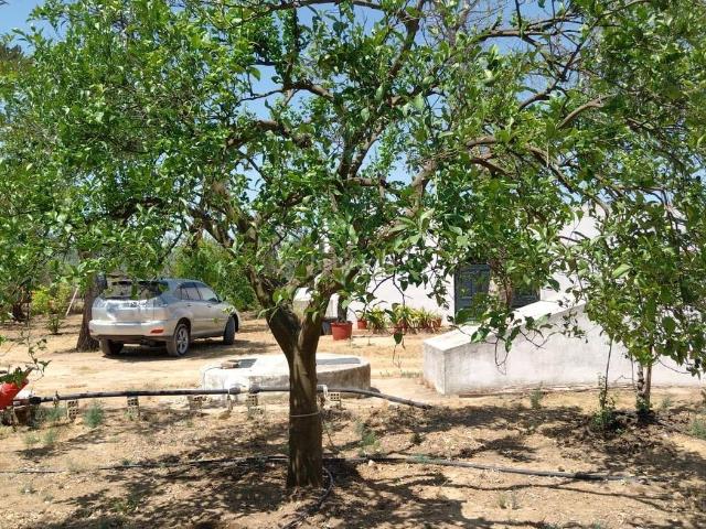 Masía en venta en Carmona. EN VENTA PARCELA CERCA ZOOLOGICO. Masías.