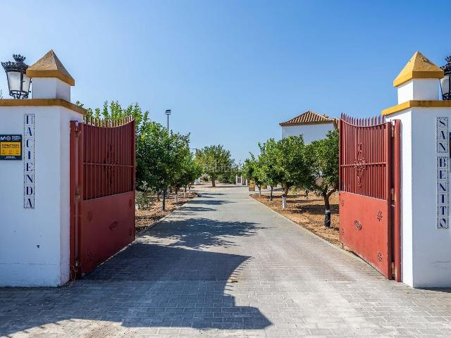 Masía en venta en Carmona. Exclusiva finca de 17 hectáreas con olivar y complejo ecuestre premium en Sevilla. Masías.