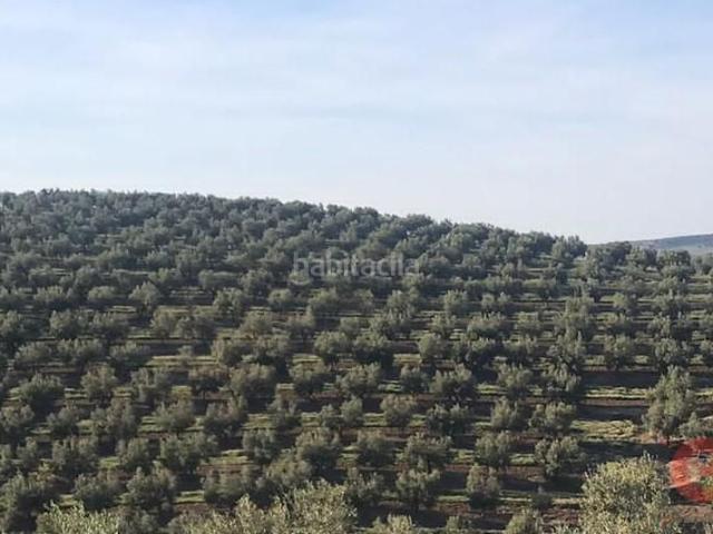 Masía en venta en Castril. CastrilFinca Rustica. Masías.