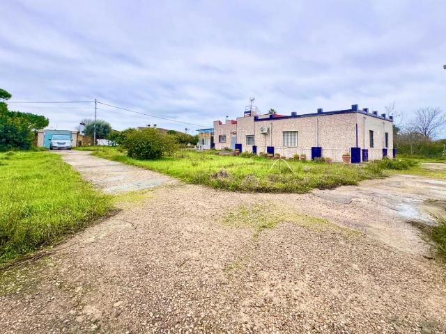 Masía en venta en Chiclana de la Frontera, Los Franceses La Vega. Casa Campo en venta en Chiclana. Masías Chiclana de la.