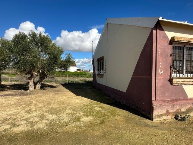 Masía en venta en Chiclana de la Frontera, Los Franceses La Vega. ¡Oportunidad Única en Miralamar! Finca Segregada de 2.000 m² con Enorme Potencial. Masías Chiclana de la.