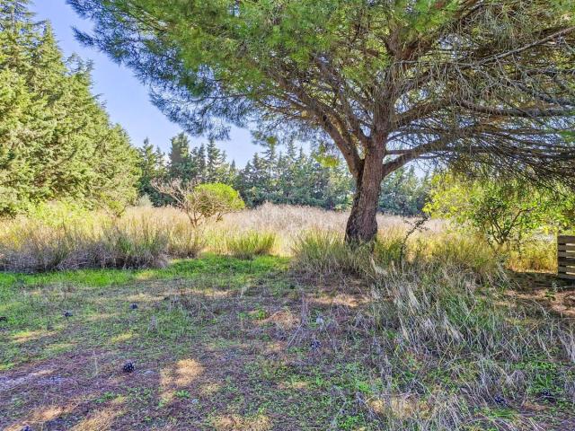 Masía en venta en Chiclana de la Frontera, Pelagatos Pago del Humo. SE VENDE ESPECTACULAR PARCELA CON NAVE REGISTRADA, SEGREGADA, CON CONTADOR DE LUZ. Masías Chiclana de la.