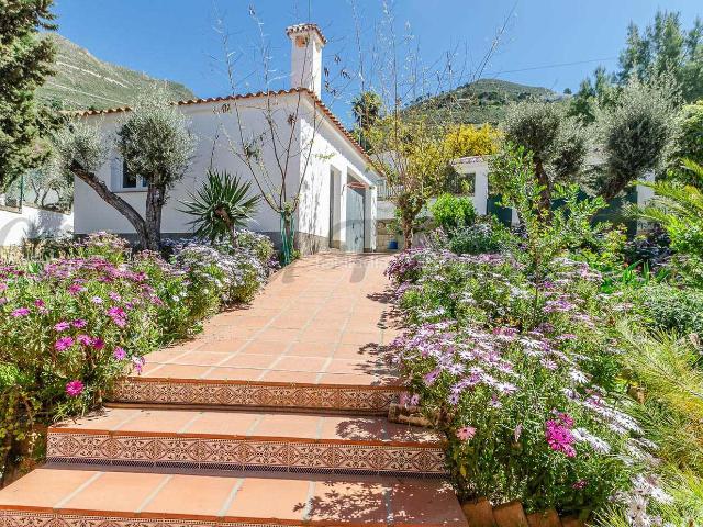 Masía en venta en Cómpeta. Casa grande muy cerca del pueblo de Cómpeta. Masías.