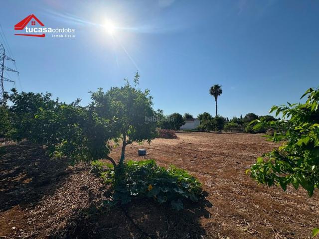 Masía en venta en Córdoba, Villarrubia. FINCA RÚSTICA DE 2.504 m2 CON LUZ, AGUA Y CHIMENEA EN CRTA. PALMA DEL RÍO PARCELA VALLADA CON ÁRBOLES FRUTALES. Masías.