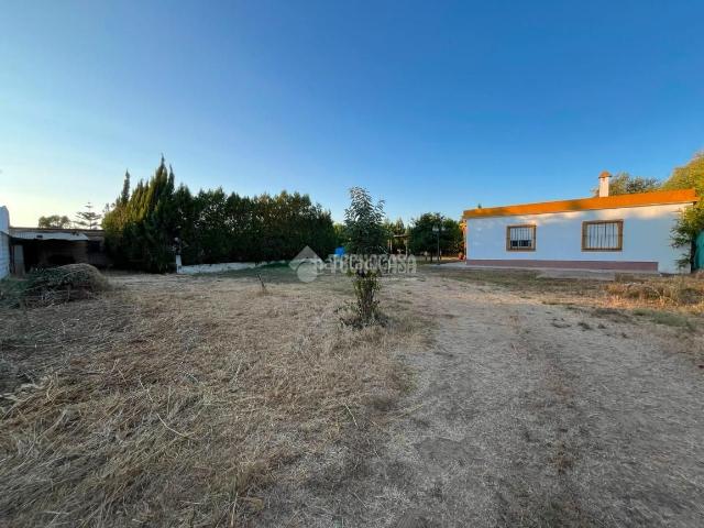 Masía en venta en Coria del Río. Casa rural en venta en Dos hermanas. Masías Coria del.