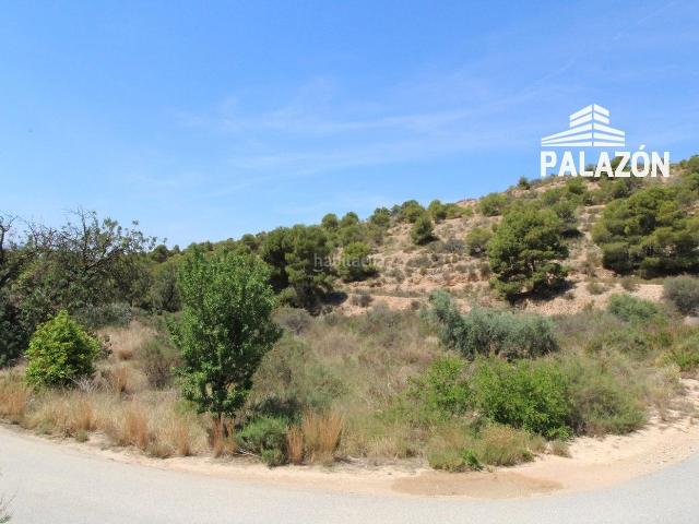 Masía en venta en Crevillente. Casa de campo en venta en Crevillente Alicante. Masías.