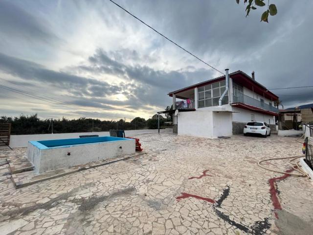 Masía en venta en Crevillente. Casa de Campo en venta en San Antonio de la Florida, 4 dormitorios. Masías.