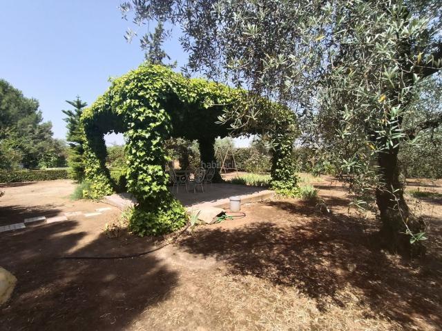 Masía en venta en Cristina. PARCELA RÚSTICA AGRÍCOLA DE SECANO CON CASA LEGALIZADA. Masías.