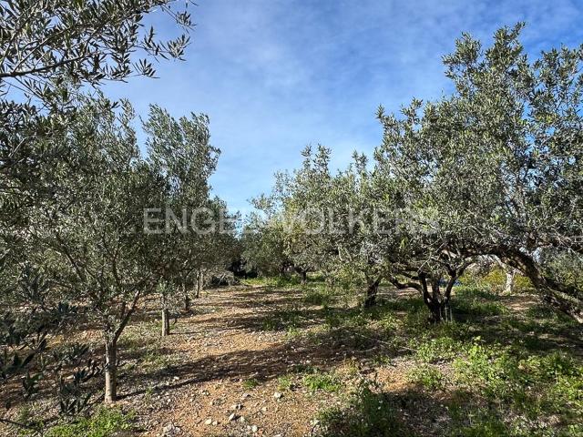 Masía en venta en Dénia, La Xara La Sella. Casa de Campo con vistas para reformar. Masías.