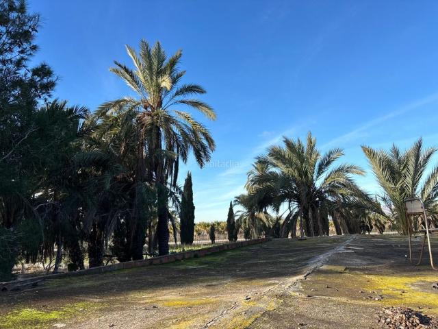 Masía en venta en Elche Elx, La Algoda Matola Llano de San José. Venta de Casa de Campo en Pusol. Masías Elche.