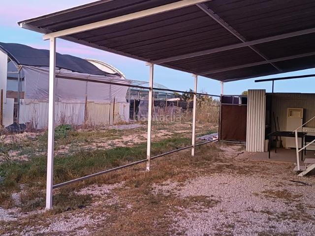 Masía en venta en Elche Elx, La Foia Daimés Asprella. Masías Elche.