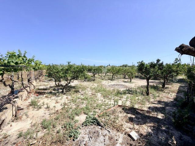 Masía en venta en Elche Elx, La Marina. Masías Elche.