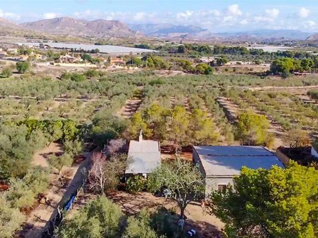 Masía en venta en Elche Elx, Perleta Maitino. PARCELA CON VIVIENDA UNIFAMILIAR EN REBOLLEDO. Masías Elche.