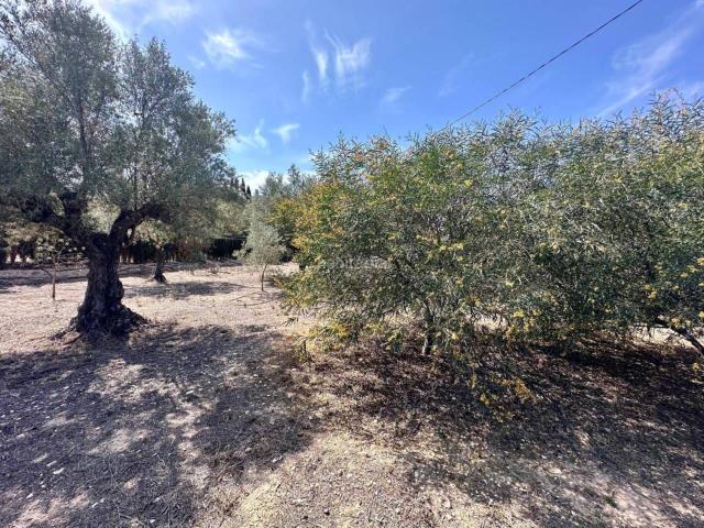Masía en venta en Elda, Campo Alto Club de Campo. Casa rustica en venta en Elda. Masías.