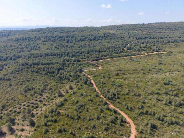 Masía en venta en Enguera. SE VENDEN 3 FINCAS RÚSTICAS EN ENGUERA Valencia 90.000. Masías.