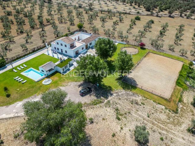 Masía en venta en Espartinas, Colegio Europa. Oasis de paz en medio de un olivar en Espartinas. Masías.