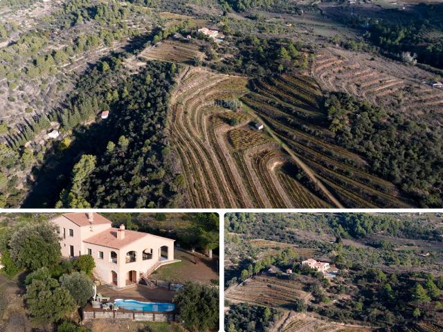 Masía en venta en Falset. Encantador viñedo boutique en el Priorat, Tarragona Lujo y Naturaleza a tu Alcance. Masías.