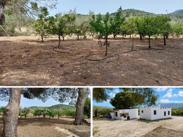 Masía en venta en Freginals. Finca Rústica con Casa. Masías.