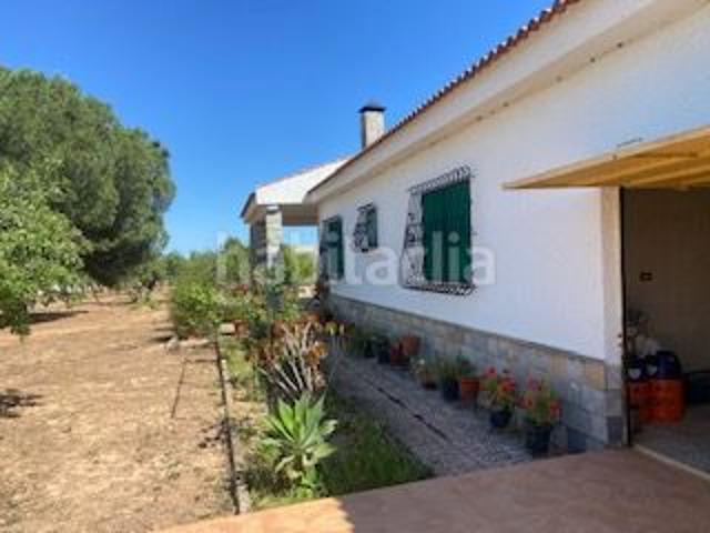 Masía en venta en Fuente Álamo de Murcia, Centro. Fantástica finca rural con vivienda próxima a Hacienda del Alamo. Masías Fuente Álamo de.