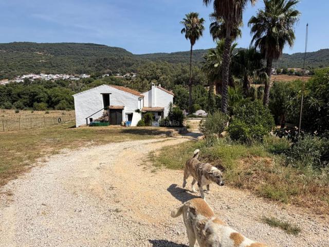 Masía en venta en Gaucín. Finca en venta en Gaucin, 3 dormitorios. Masías.