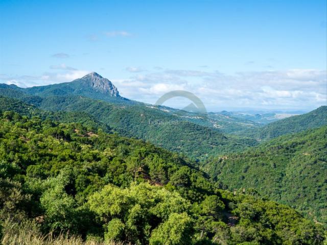 Masía en venta en Genalguacil. Finca con Casa y Cabaña con Sauna, Vistas. Masías.