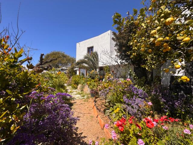 Masía en venta en Granadilla de Abona, Los Blanquitos. Casa Terrera en Granadilla de Abona. Masías Granadilla de.