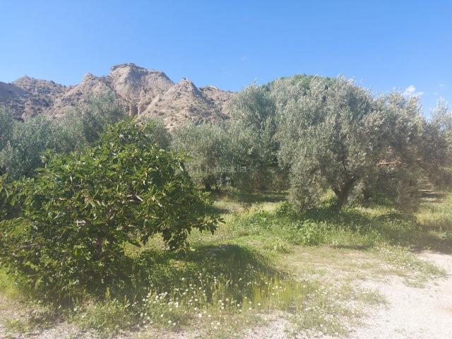 Masía en venta en Guadix. Masías.