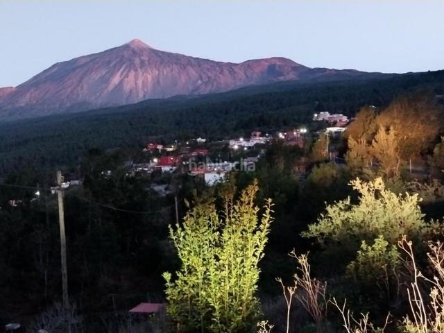Masía en venta en Icod de los Vinos, La Vega El Amparo Cueva del Viento. El Amparo Icod Se vende estupenda casa rural en muy buen estado. Masías Icod de los.