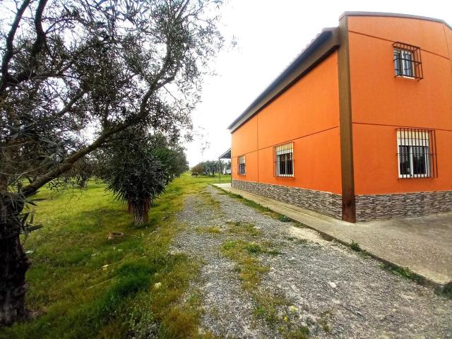 Masía en venta en Jerez de la Frontera, Pozoalbero. Espectacular Parcela Rústica con Casa y Amplias Posibilidades en Trebujena. Masías Jerez de la.
