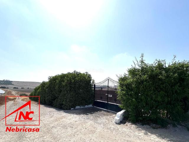 Masía en venta en Lebrija. Oportunidad Finca rústica de 14.064 m con vivienda, olivar y múltiples instalaciones a solo 3 minutos del pueblo.Se vende esta mag. Masías.