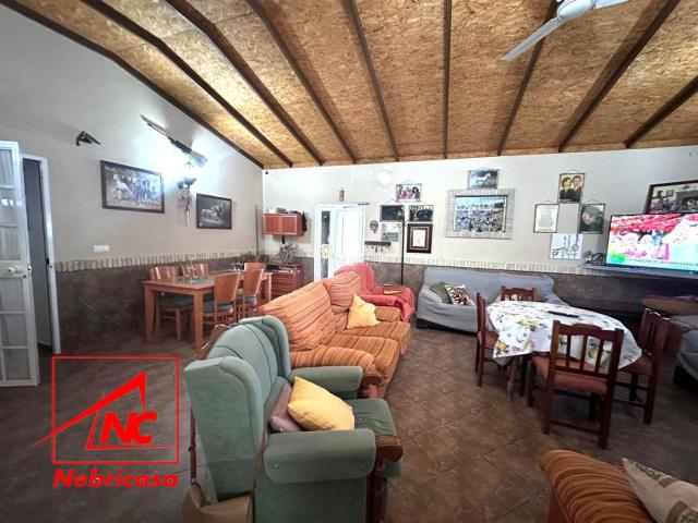Masía en venta en Lebrija. ZONA LAS ARENASEspectacular finca con vivienda, piscina y espacios ecuestres en un entorno privilegiado Descubre esta magnífica fi. Masías.