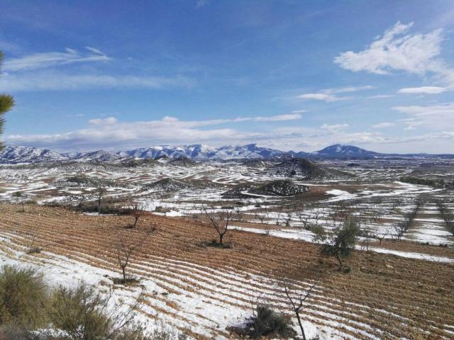 Masía en venta en Lorca, Coy. DISFRUTA DE LA MONTAÑA FINCA DE ALMENDROS CON CASA DE MADERA. Masías.