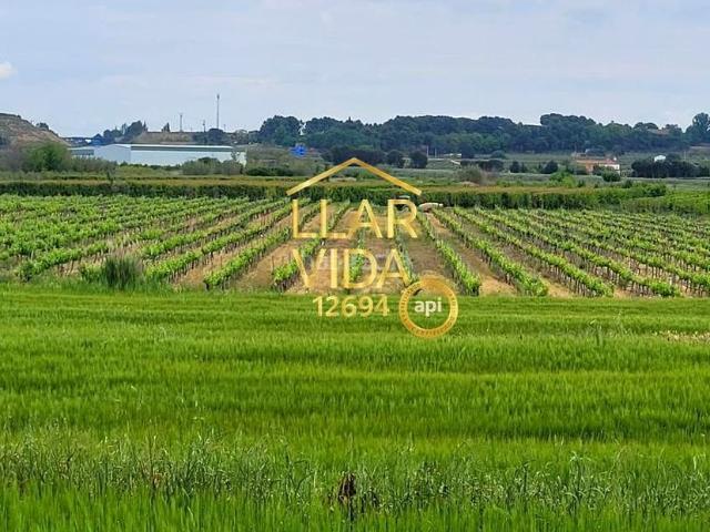 Masía en venta en Lleida, Partides Rurals. TERRENO CON PISCINA EN LLEIDA. Masías.