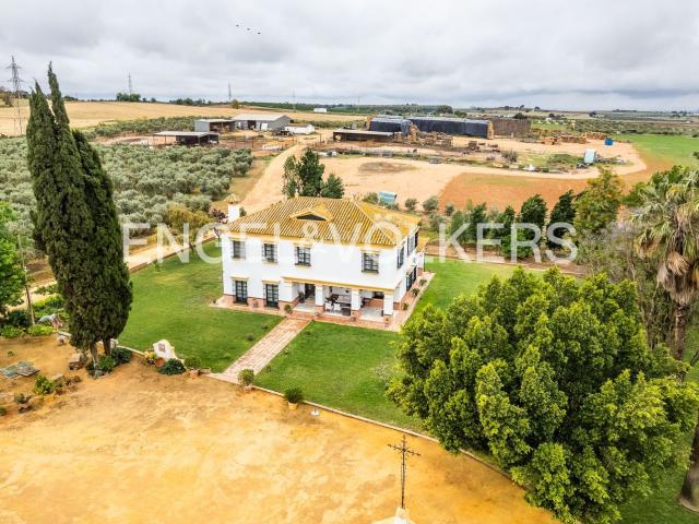 Masía en venta en Mairena del Alcor. Descubra una majestuosa propiedad en Carmona Dos edificios, caballerizas, antiguo molino aceitero, 708 m residenciales construidos. Masías Mairena del.
