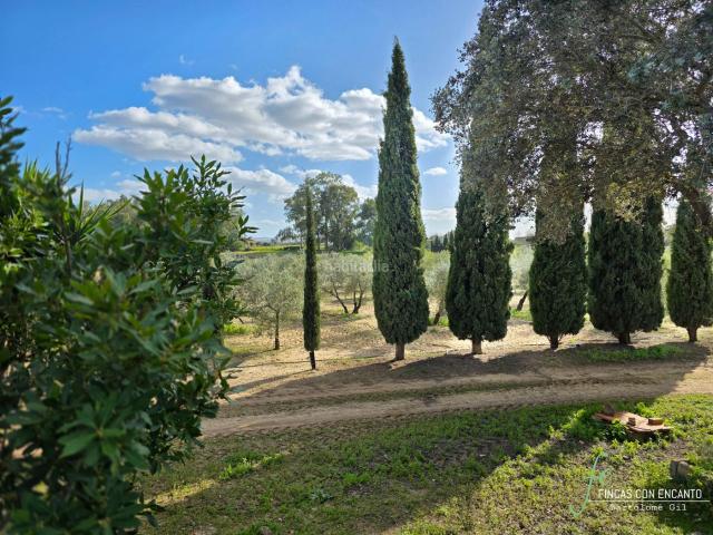 Masía en venta en Marchena. Preciosa finca con cortijo y olivar en Marchena. Masías.