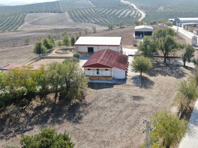 Masía en venta en Marchena. Preciosa finca ecuestre cercana a Sevilla. Masías.