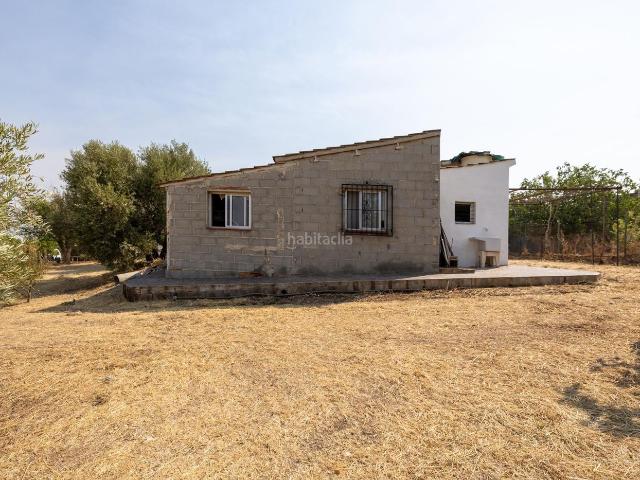 Masía en venta en Moraleda de Zafayona. Encanto rústico con casita y olivos en Moraleja de Zafayona. Masías Moraleda de.