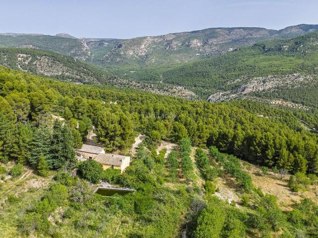 Masía en venta en Moratalla. Finca Forestal de Alto Valor en venta en Moratalla, Murcia. Masías.