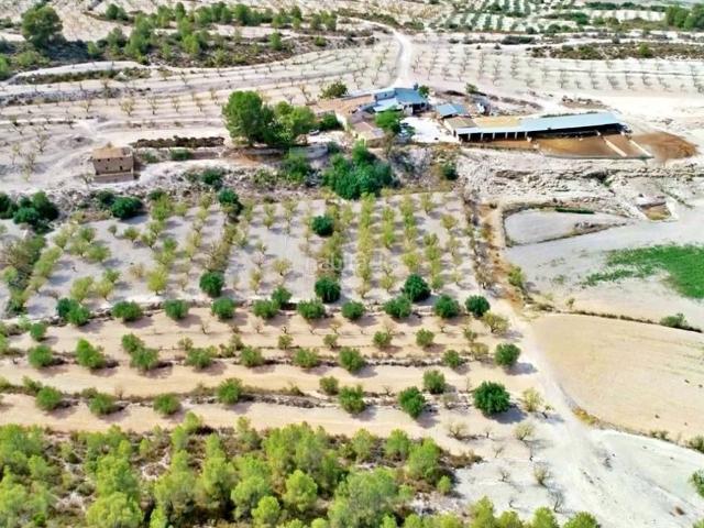 Masía en venta en Moratalla. HACIENDA RUSTICA CON CASA CORTIJO MORATALLA. Masías.