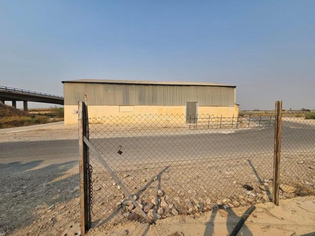 Masía en venta en Murcia, San Ginés. SE VENDE CASA A REFORMAR ALMACEN HUERTO EN BALSAPINTADA, FUENTE ÁLAMO. Masías.